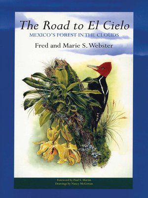 cover image of The Road to El Cielo